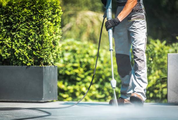 Best Fence Cleaning  in Orland Park, IL