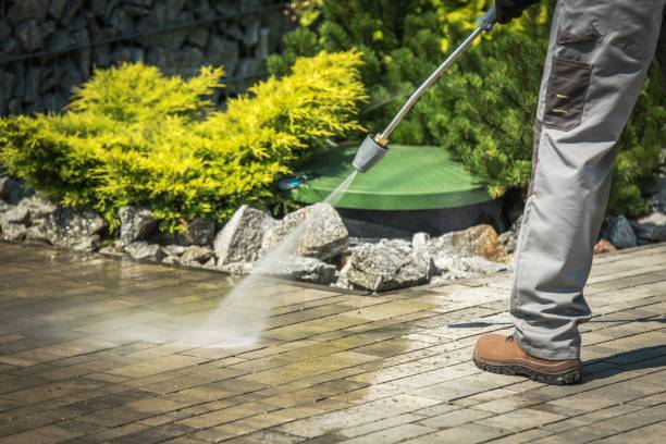 Best Roof Washing  in Orland Park, IL