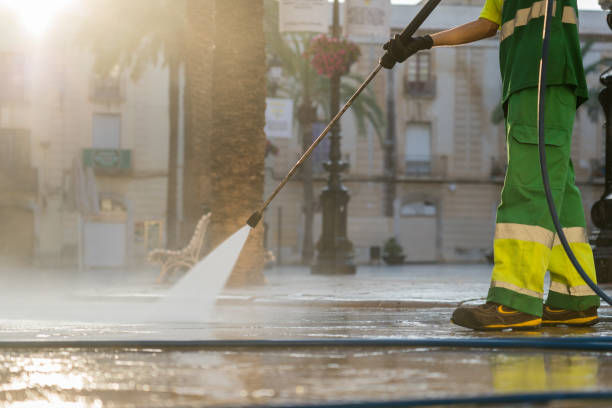 Best Dumpster Area Cleaning  in Orland Park, IL